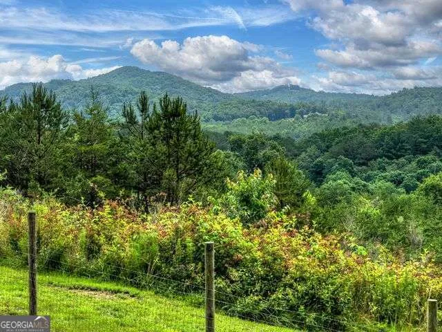 384 Dean RD Mineral Bluff, GA 30559