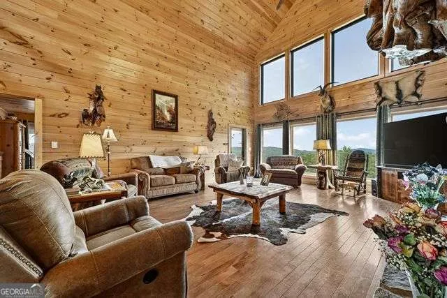 384 Dean RD Mineral Bluff, GA 30559