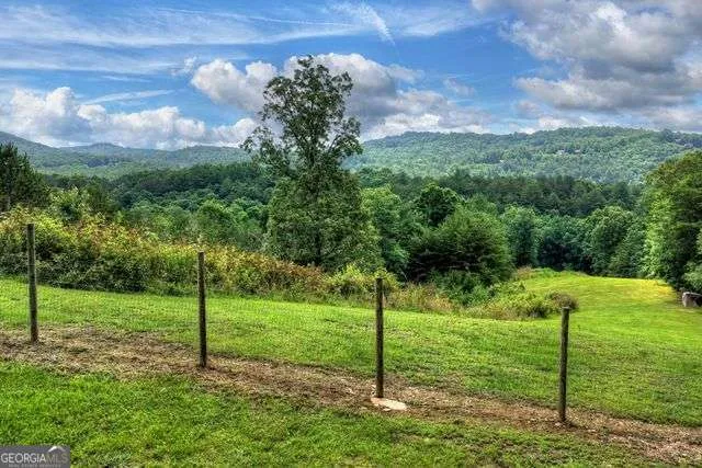 384 Dean RD Mineral Bluff, GA 30559