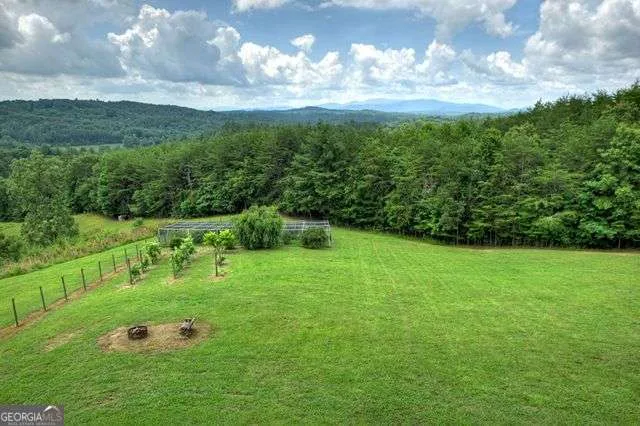 384 Dean RD Mineral Bluff, GA 30559