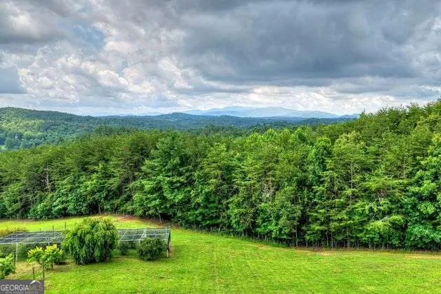 384 Dean RD Mineral Bluff, GA 30559