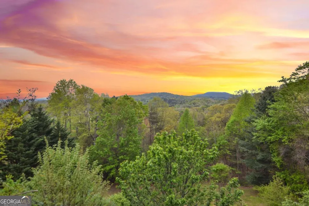 48 Lookout DR Blue Ridge, GA 30513