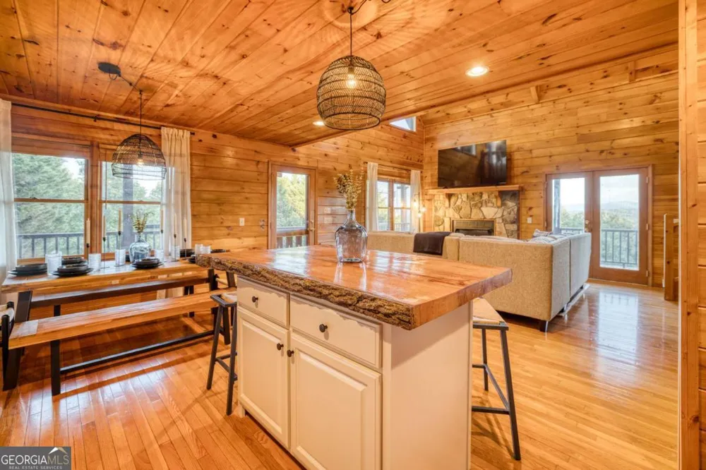 48 Lookout DR Blue Ridge, GA 30513