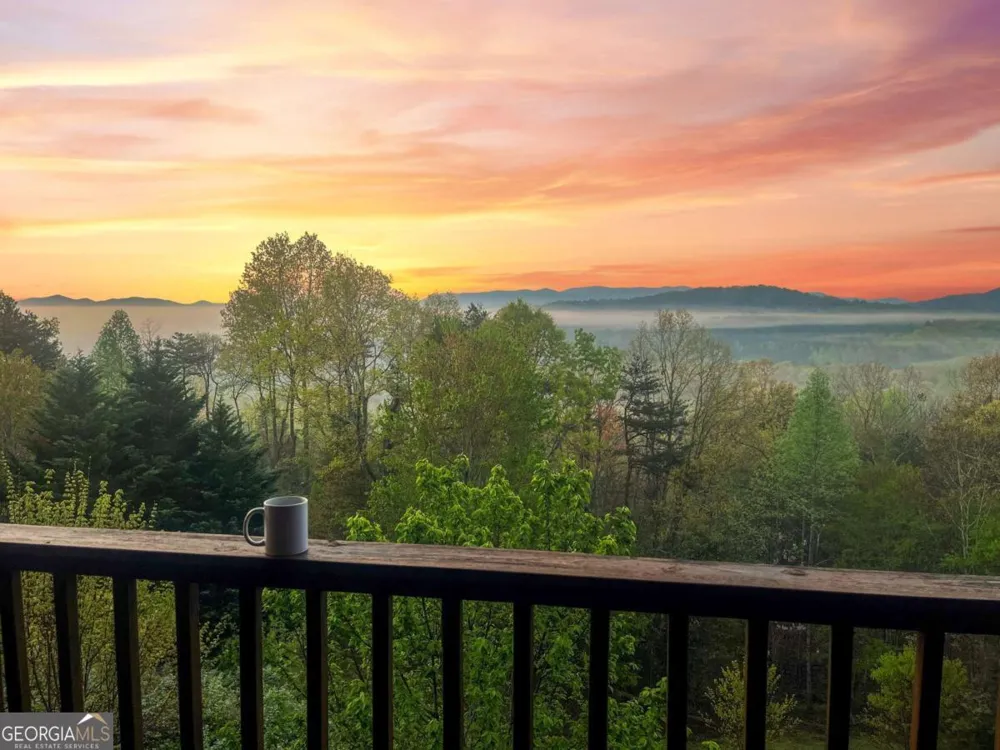 48 Lookout DR Blue Ridge, GA 30513