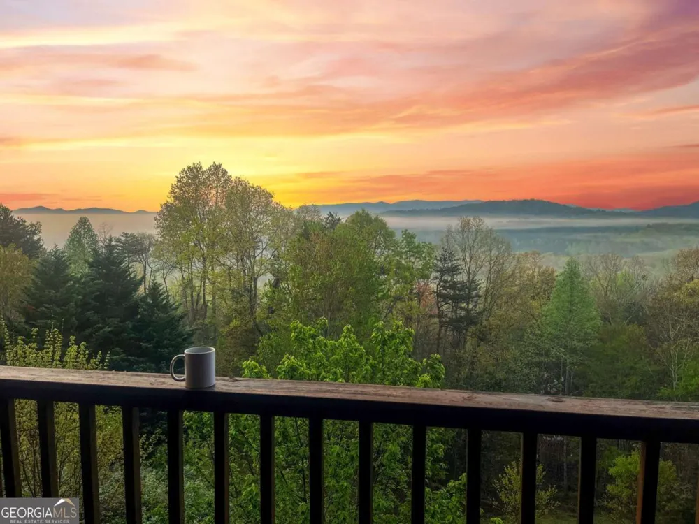 48 Lookout DR Blue Ridge, GA 30513