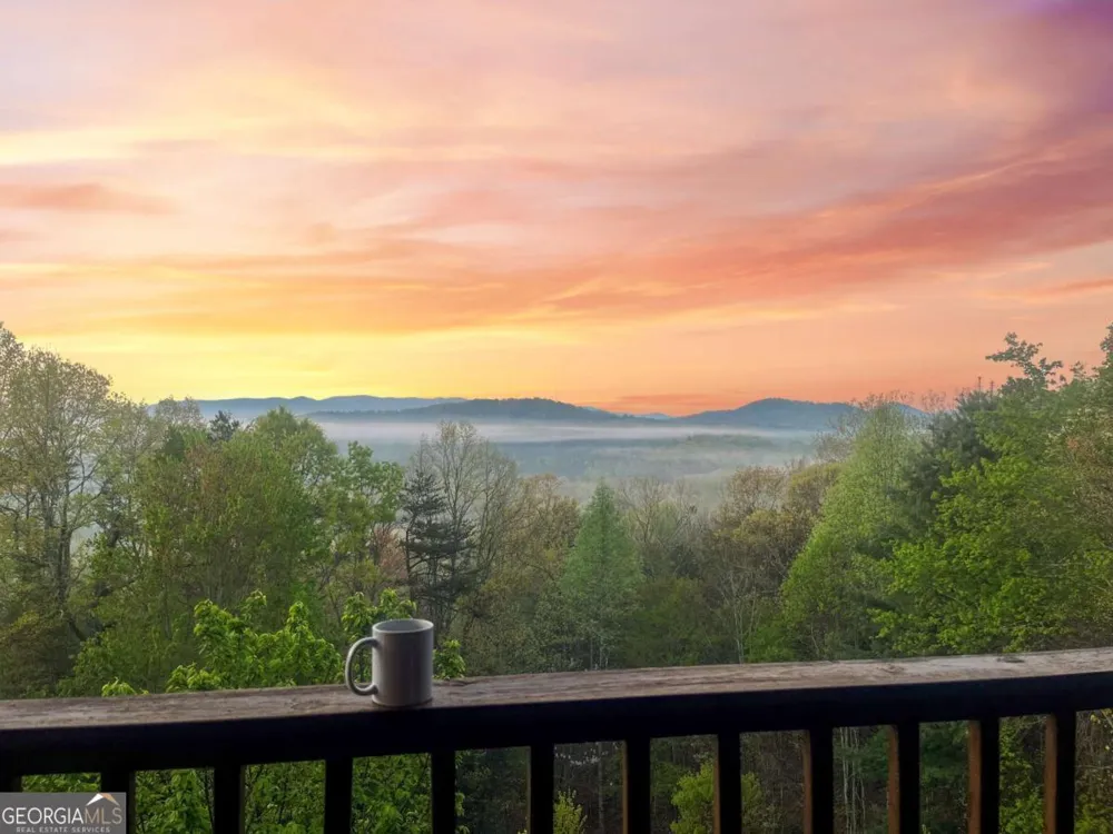 48 Lookout DR Blue Ridge, GA 30513