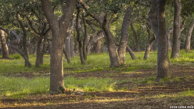 5261 W Ammann Rd Bulverde, TX 78163