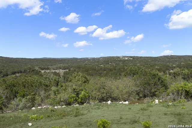 1585 PR 2771 Mico, TX 78056