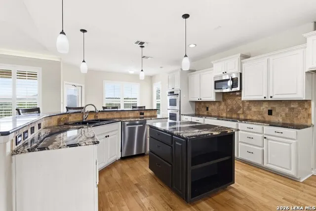 30559 SADDLERIDGE DR Bulverde, TX 78163