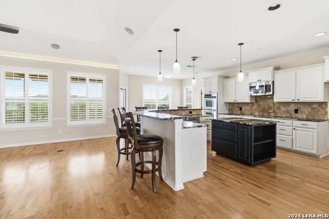 30559 SADDLERIDGE DR Bulverde, TX 78163