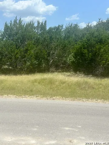 9024 Ashford Spring Branch, TX 78070