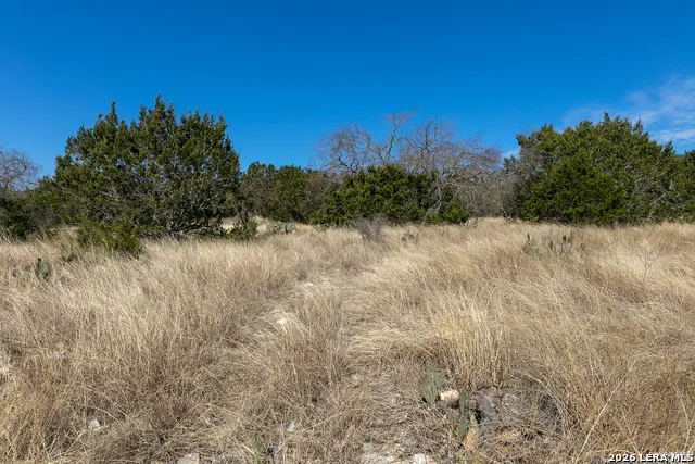 LOT 15 Pr 2535 Mico, TX 78056