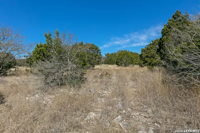 LOT 15 Pr 2535 Mico, TX 78056
