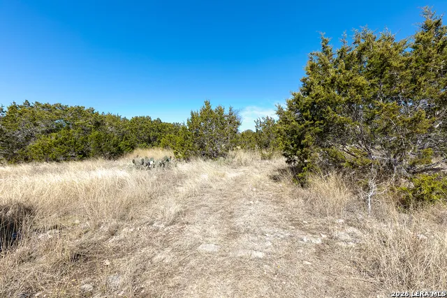 LOT 15 Pr 2535 Mico, TX 78056
