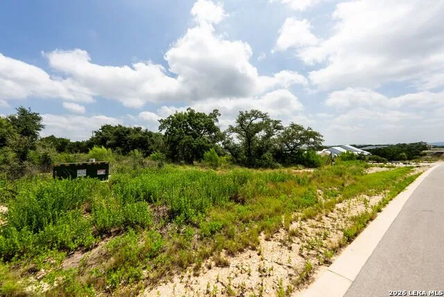 525 ROSEMARY RIDGE DR Bulverde, TX 78163
