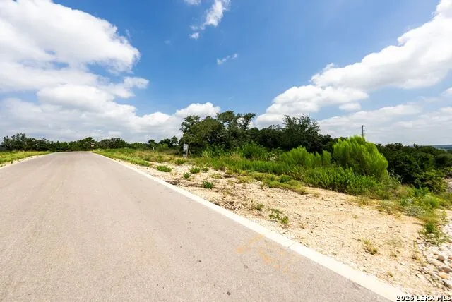 525 ROSEMARY RIDGE DR Bulverde, TX 78163