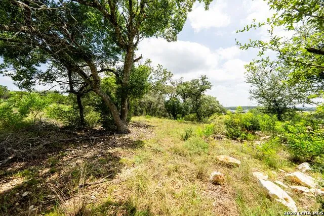525 ROSEMARY RIDGE DR Bulverde, TX 78163