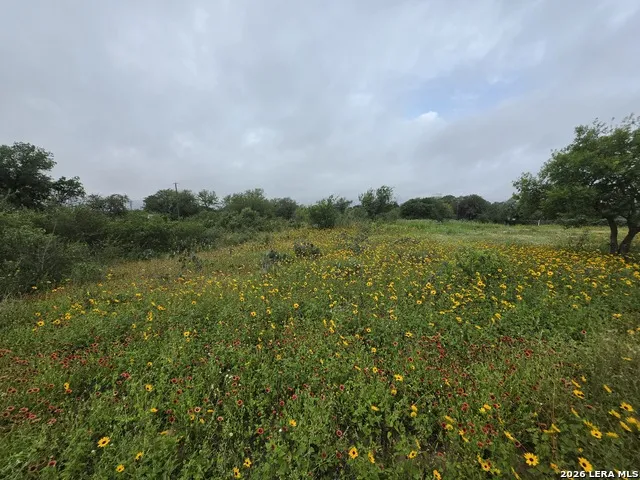 30 Wild Bee Dr Von Ormy, TX 78073
