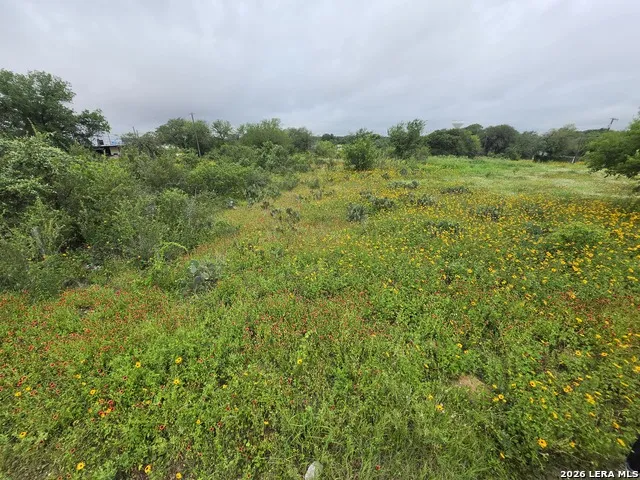 30 Wild Bee Dr Von Ormy, TX 78073