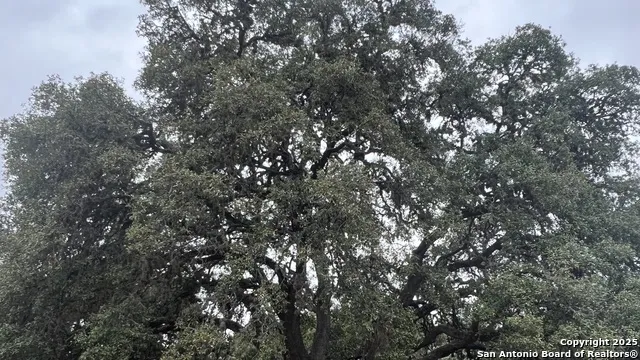 LOT 24 HEINEN CIRCLE Bandera, TX 78003
