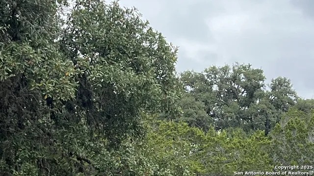 LOT 24 HEINEN CIRCLE Bandera, TX 78003