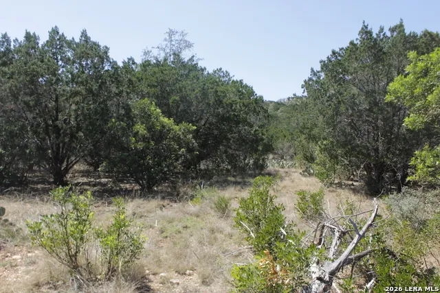 189 Agarita South Concan, TX 78879