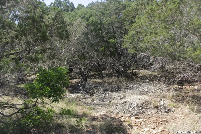 189 Agarita South Concan, TX 78879