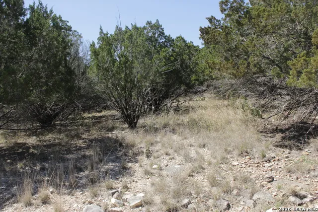 189 Agarita South Concan, TX 78879