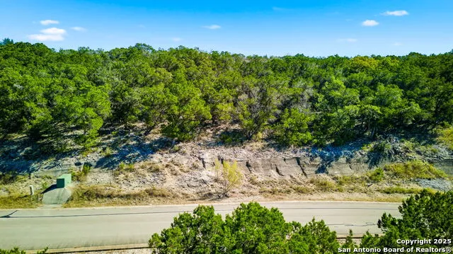 322 PR 1742 Mico, TX 78056