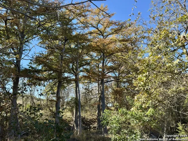 664 River Bend Road Bandera, TX 78003