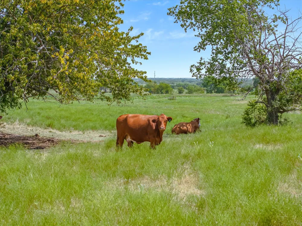 5030 Fm 148 Crandall, TX 75114