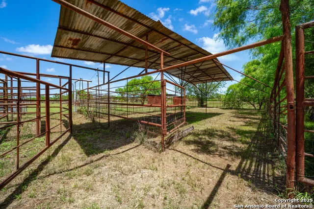 11224 Atkins Road Atascosa, TX 78002