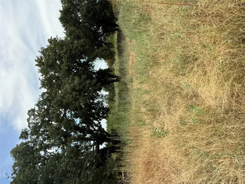 167 Farmer