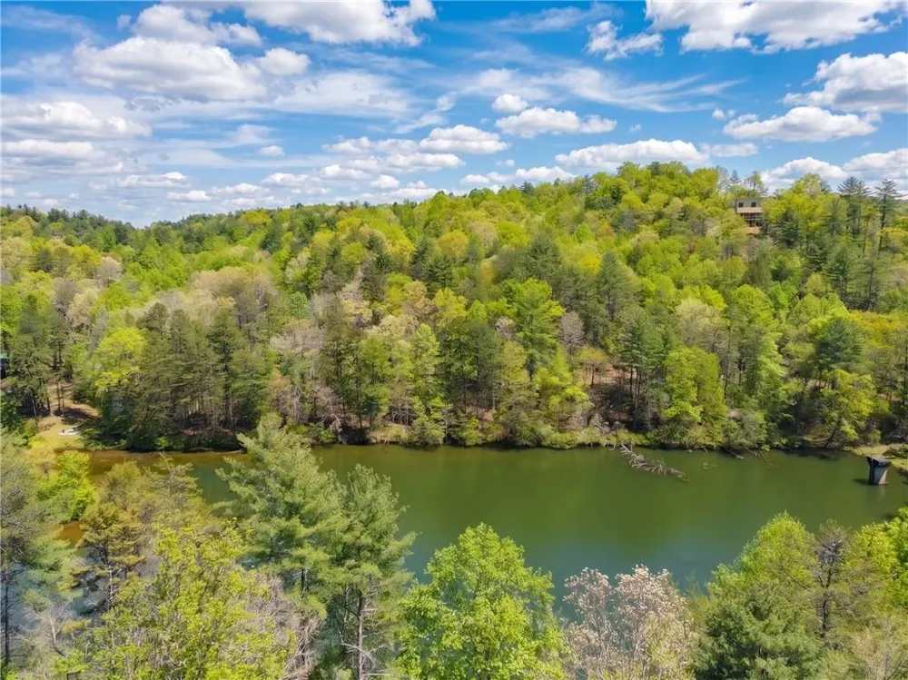 245 Bear Paw Trail Blue Ridge, GA 30513