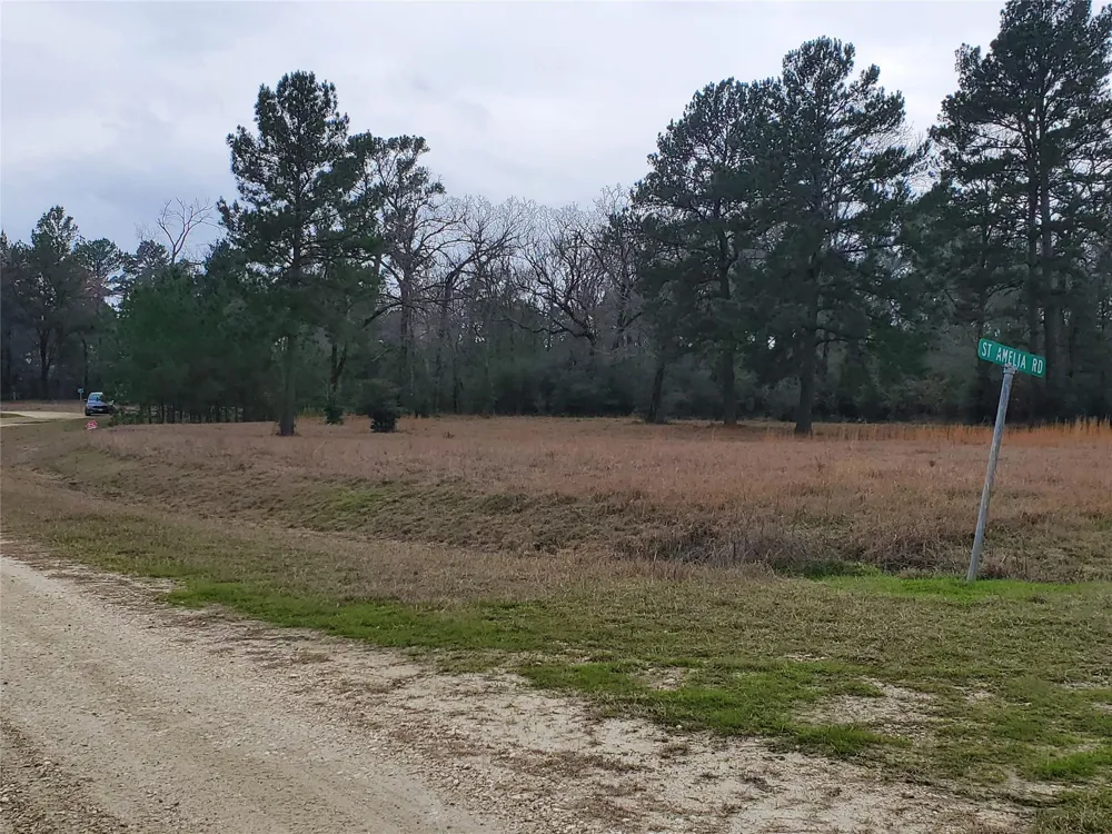 1 Oakley Road Road Trinity, TX 75862