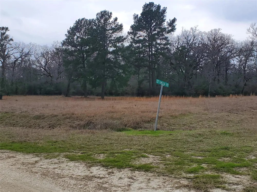 1 Oakley Road Road Trinity, TX 75862