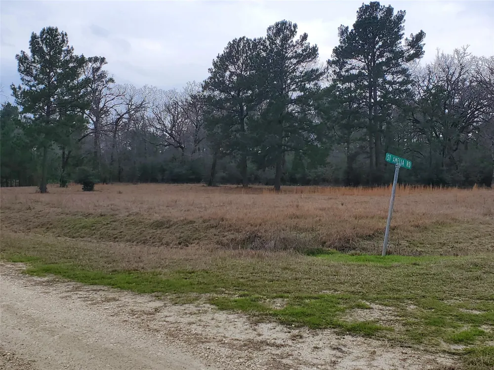1 Oakley Road Road Trinity, TX 75862