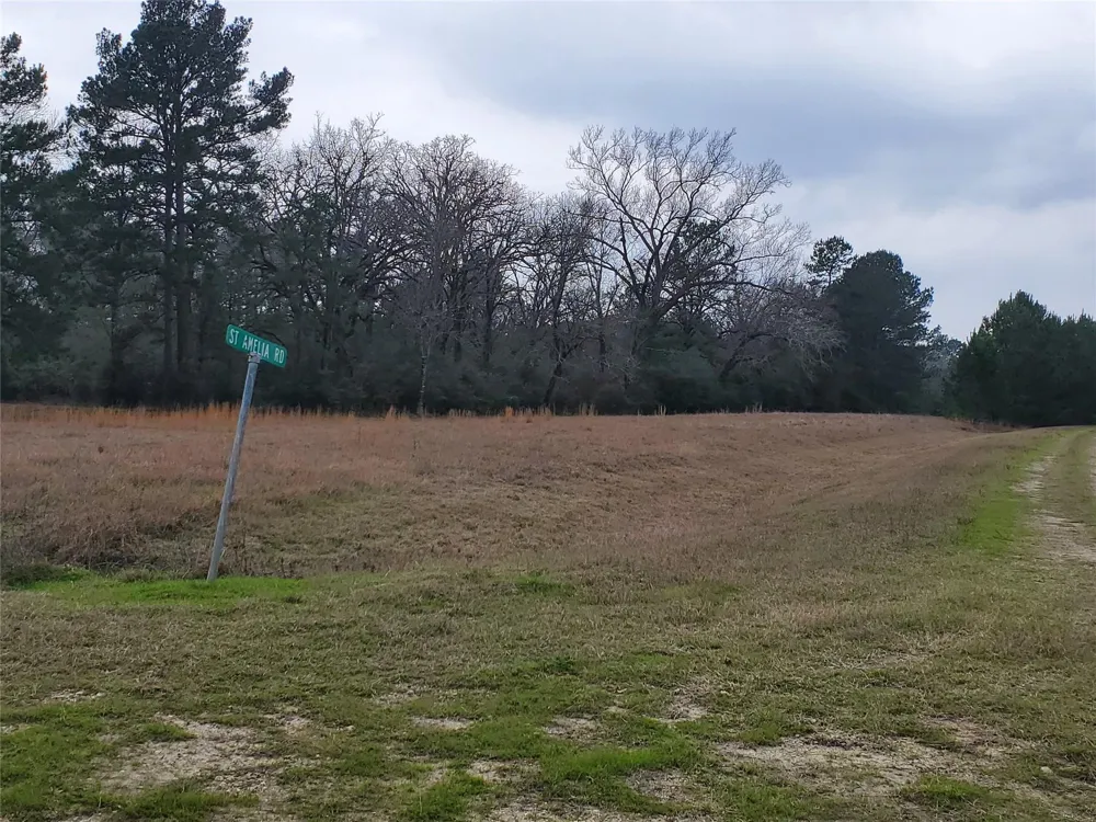 1 Oakley Road Road Trinity, TX 75862