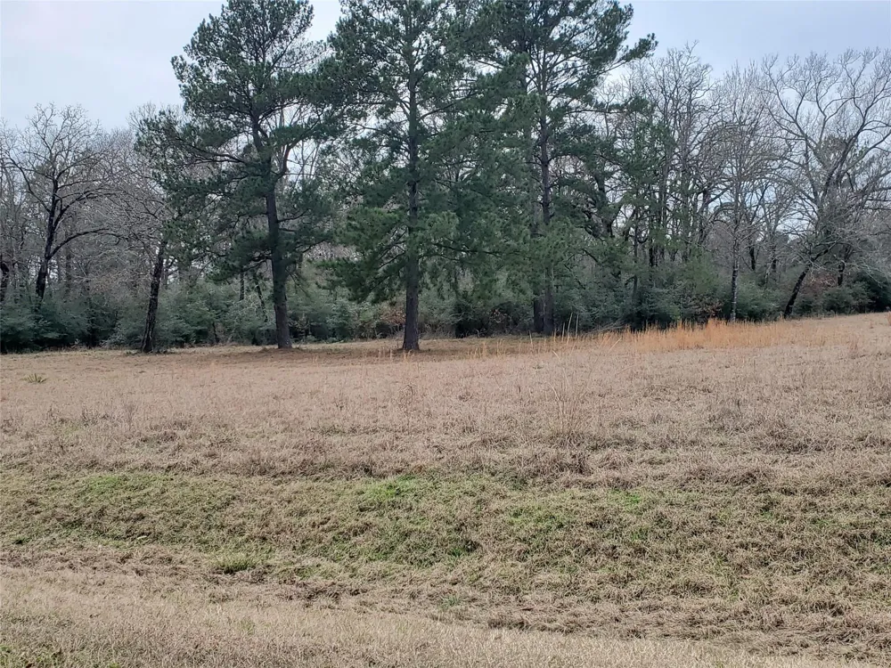 1 Oakley Road Road Trinity, TX 75862