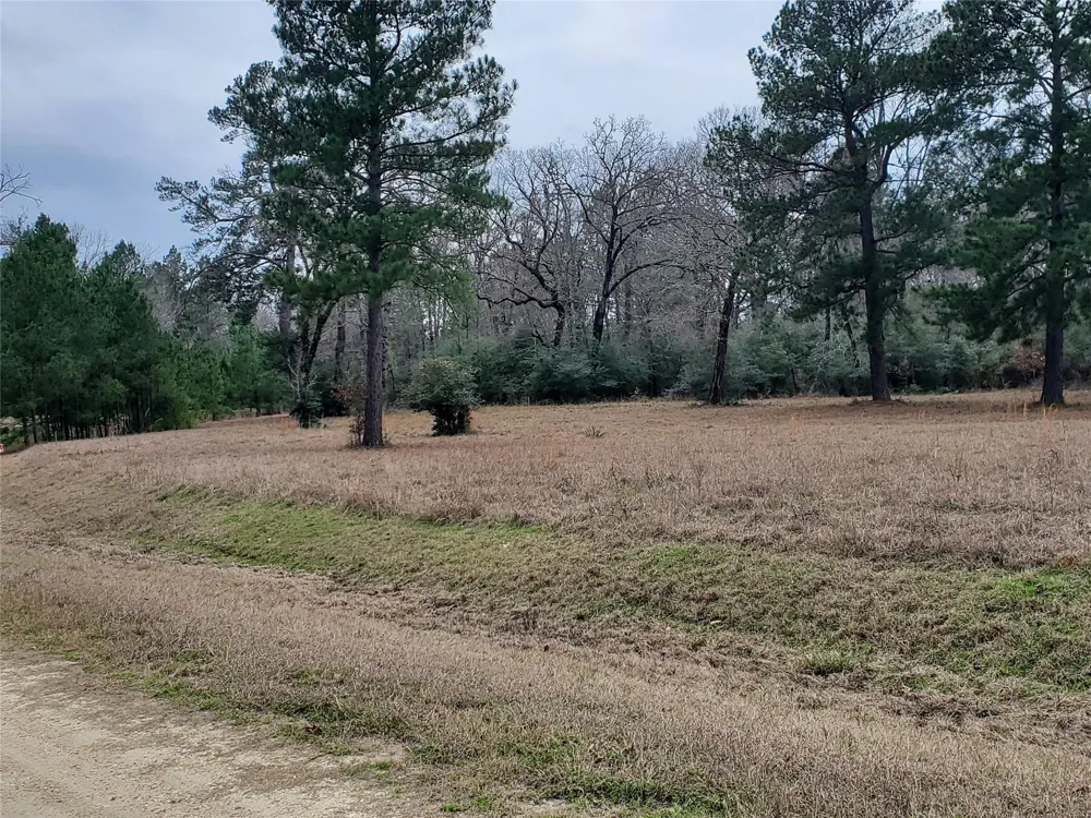 1 Oakley Road Road Trinity, TX 75862