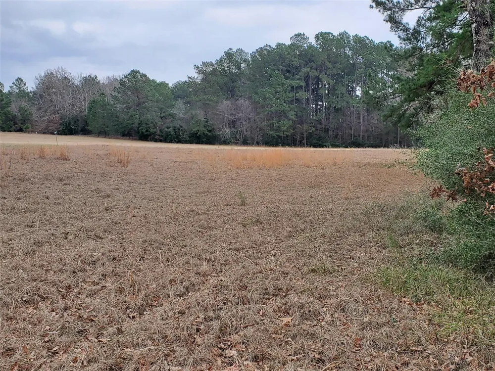 1 Oakley Road Road Trinity, TX 75862