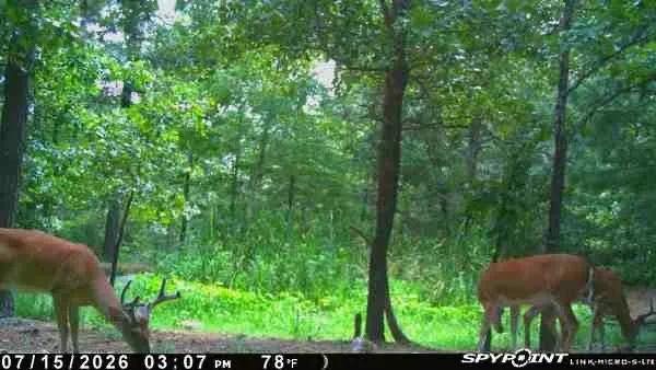 E 740 ROAD Stilwell, OK 74960