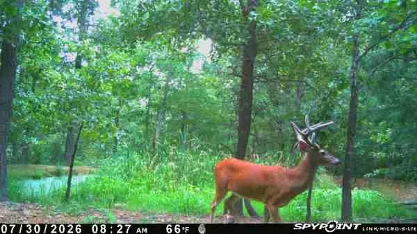 E 740 ROAD Stilwell, OK 74960
