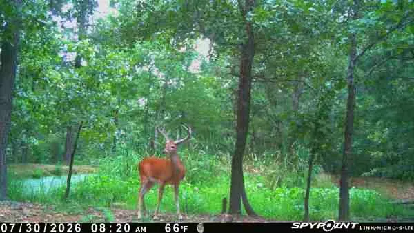 E 740 ROAD Stilwell, OK 74960