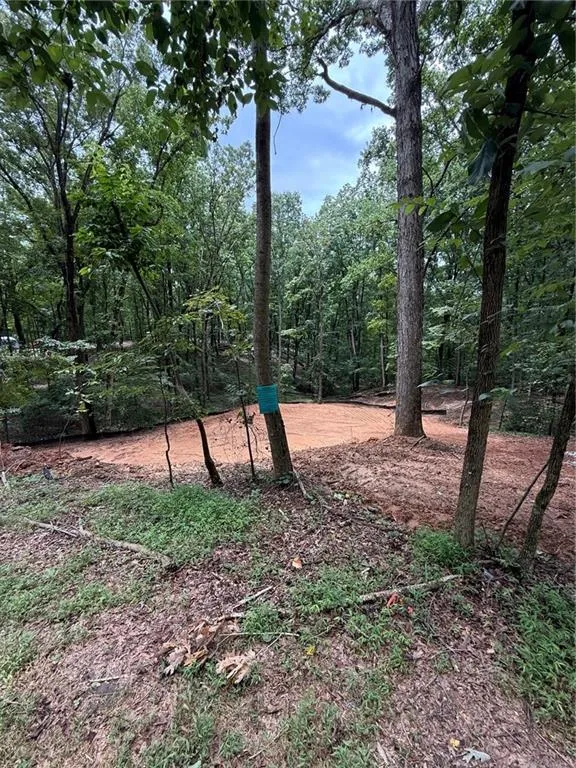 3328 Cooper Bridge Road Gainesville, GA 30507
