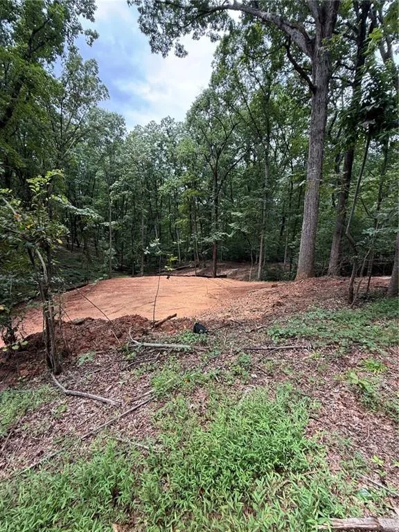 3328 Cooper Bridge Road Gainesville, GA 30507