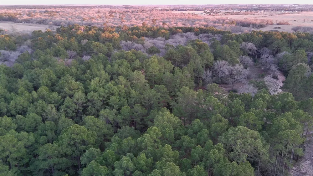 1 Fm 362 Road Waller, TX 77484