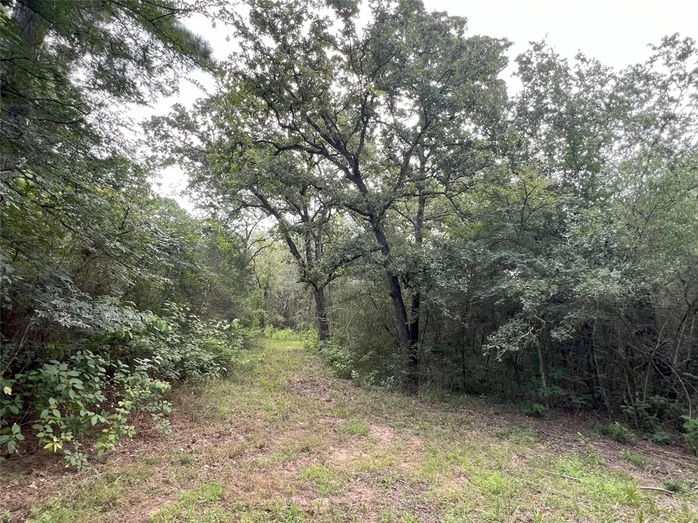 2 Fm 362 Road Waller, TX 77484