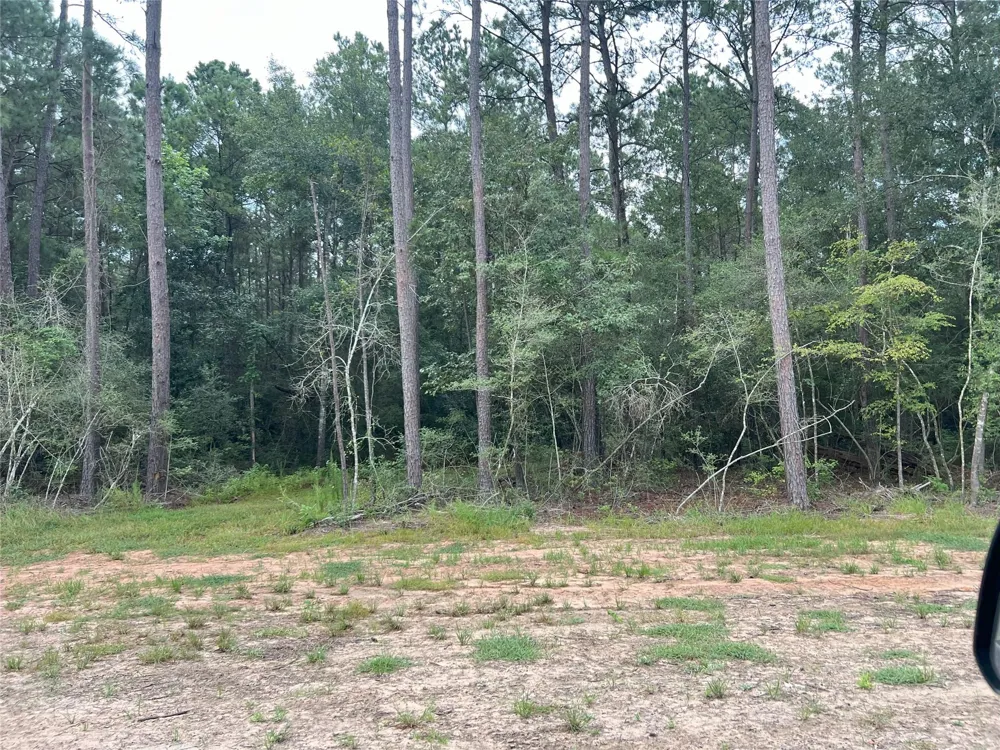 2 Fm 362 Road Waller, TX 77484