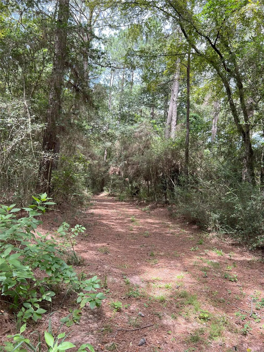 2 Fm 362 Road Waller, TX 77484